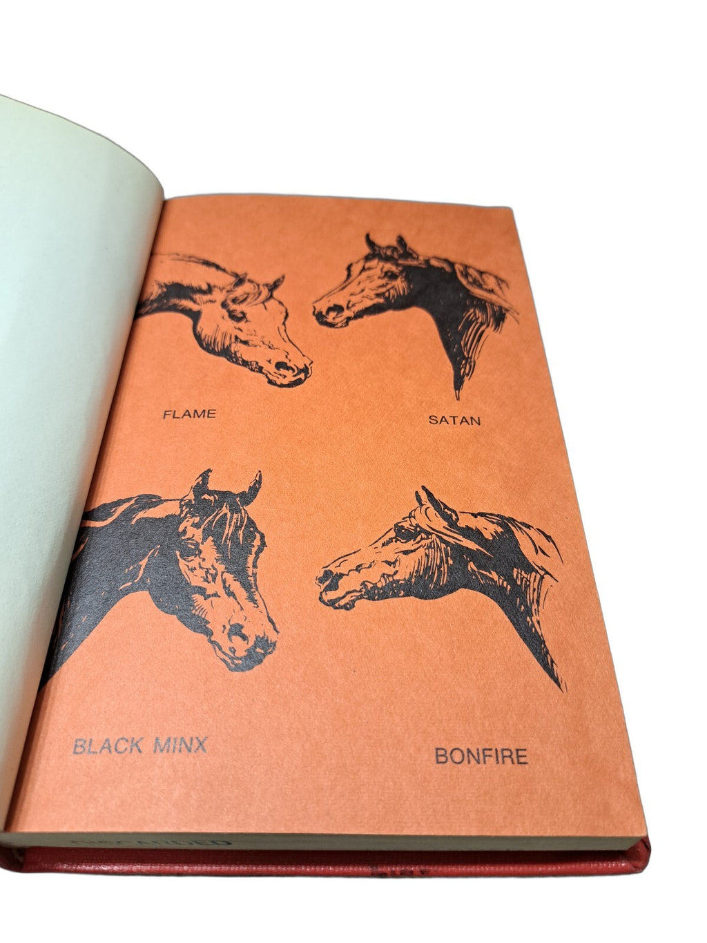Vintage 1957 The Black Stallion Mystery book by Walter Farley