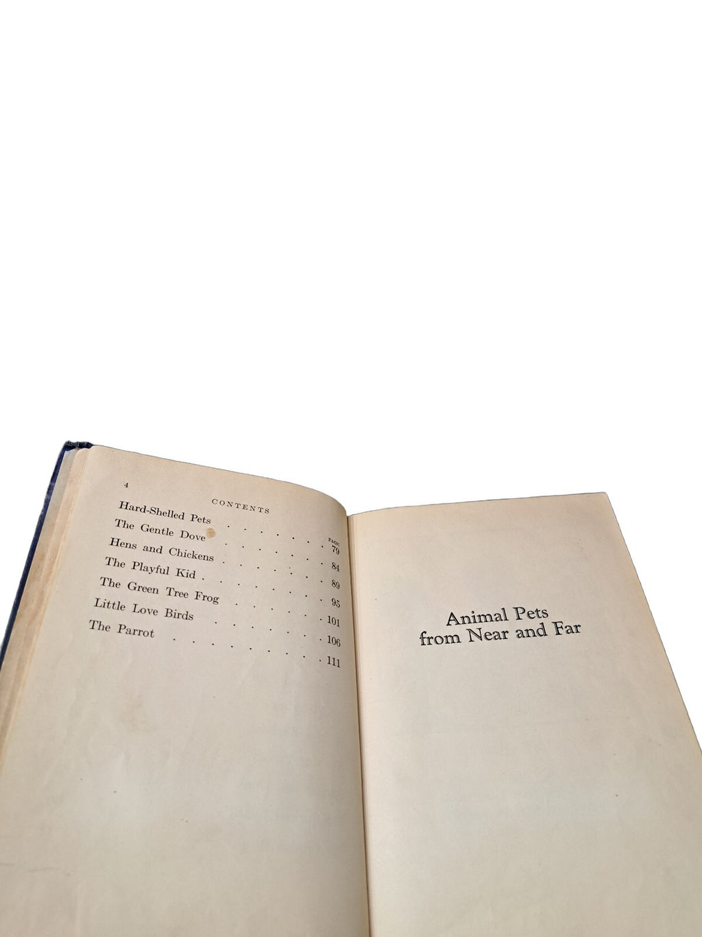Vintage 1927 Animal Pets From Near and Far book by Anna Bogenholm Sloane