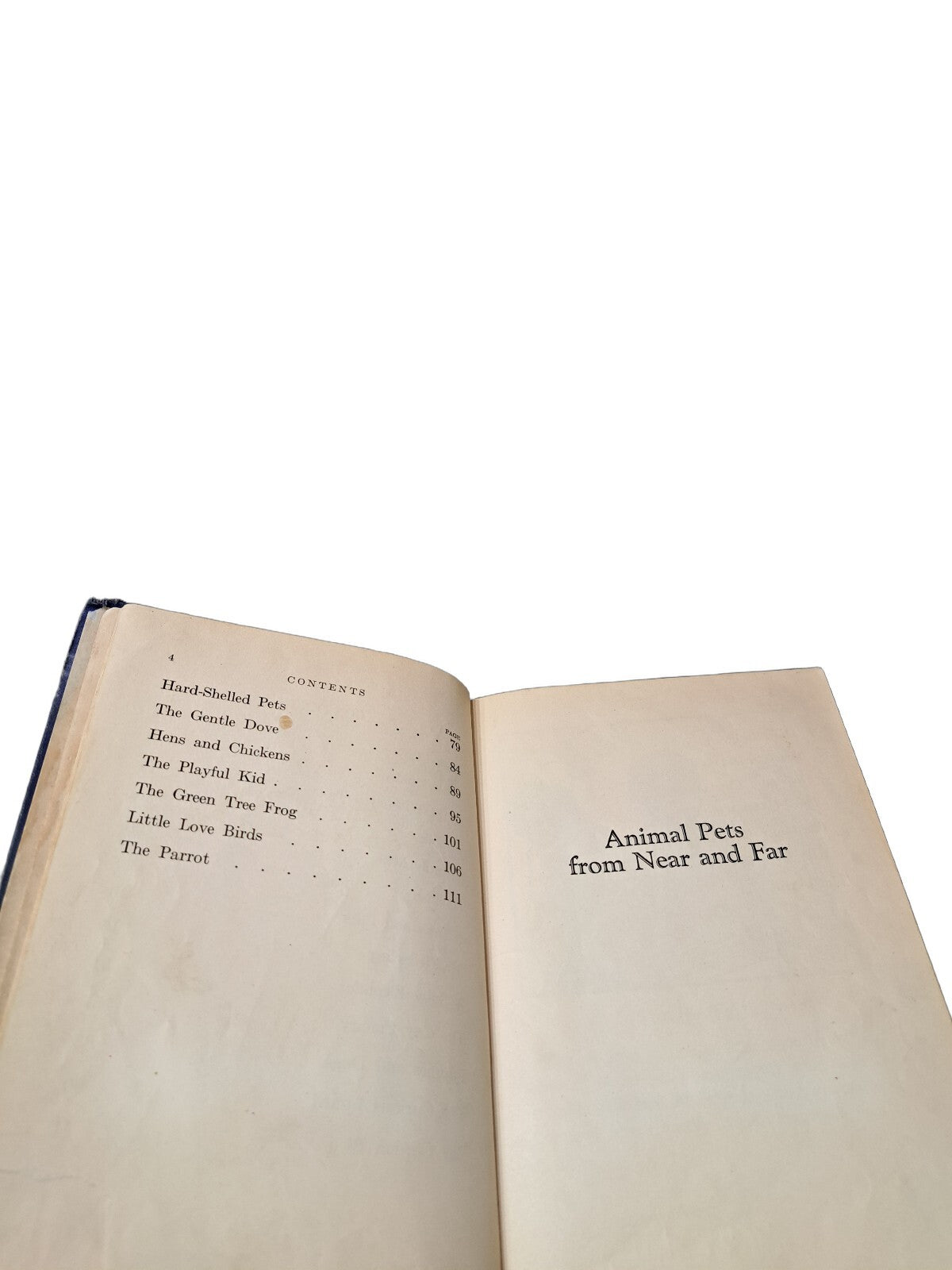 Vintage 1927 Animal Pets From Near and Far book by Anna Bogenholm Sloane