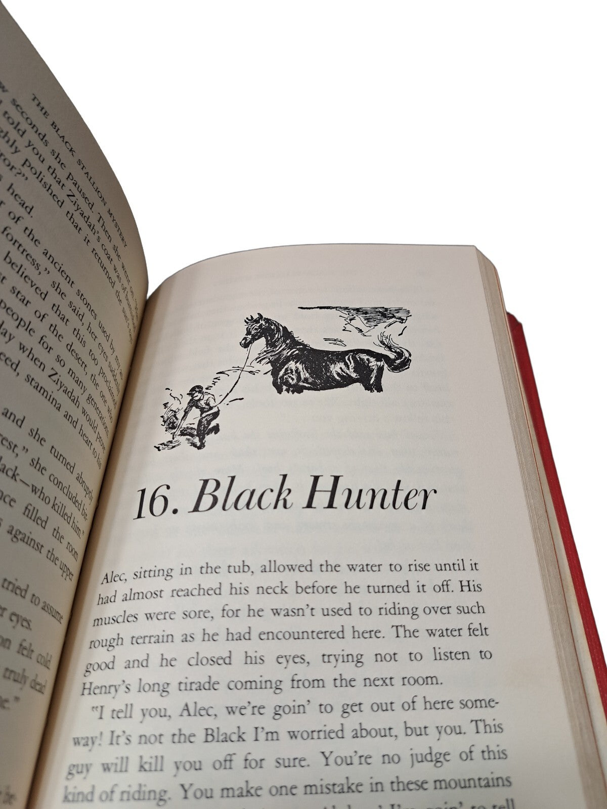 Vintage 1957 The Black Stallion Mystery book by Walter Farley
