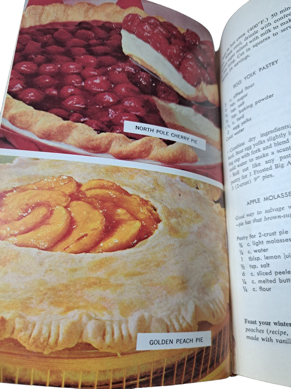 Vintage 1965 Farm Journal's Complete PIE cookbook