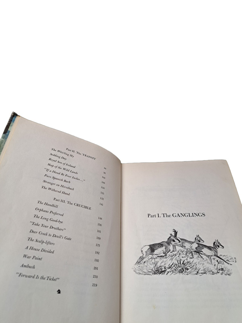 Vintage 1972 first printing of San Domingo: The Medicine Hat Stallion book