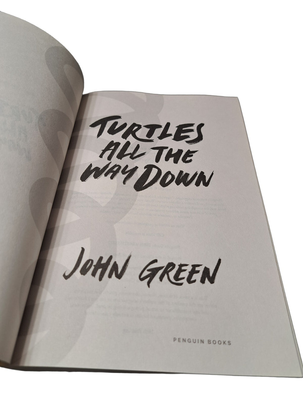2017 Turtles All the Way Down by John Green