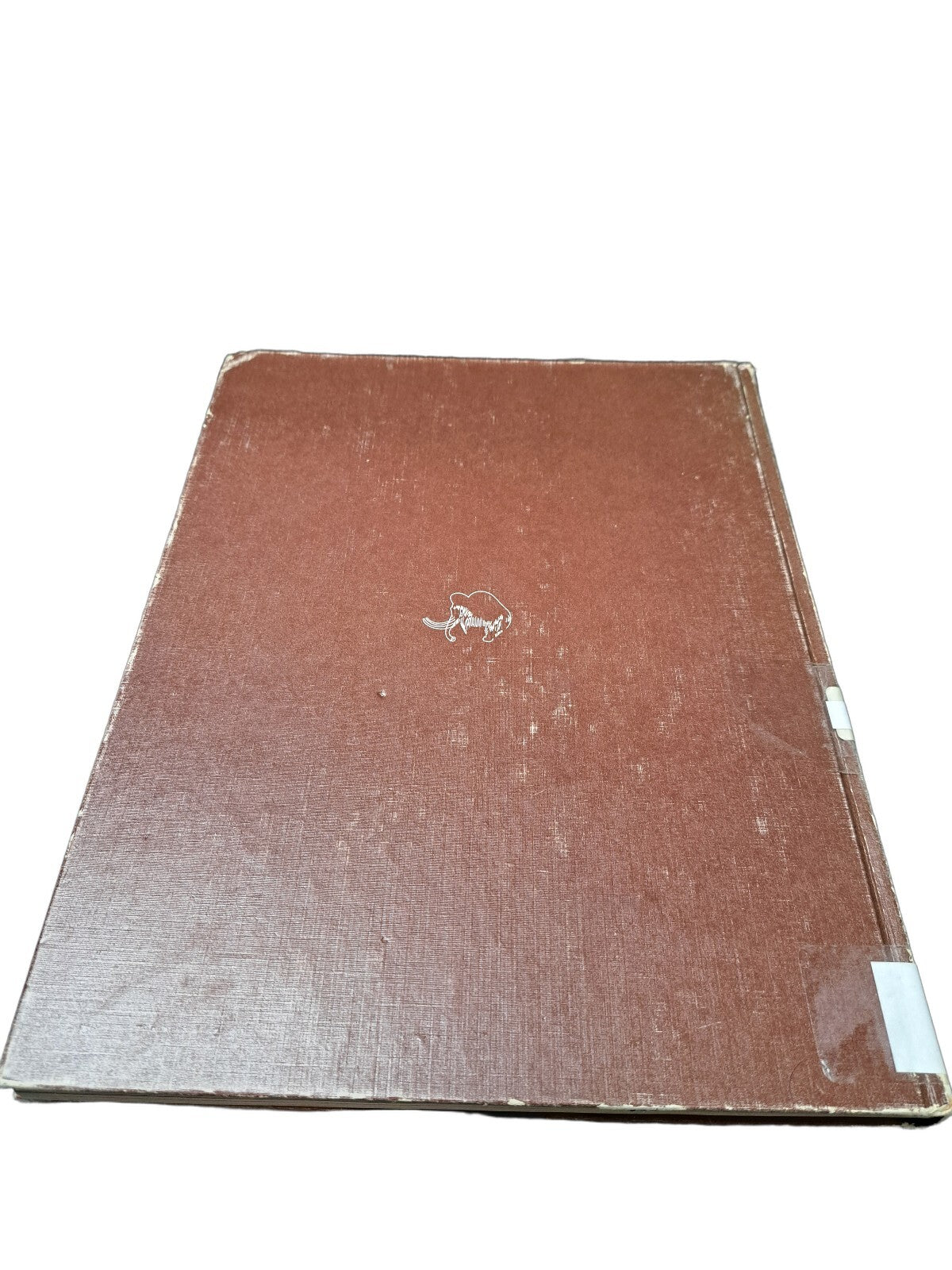 Vintage 1965 Early Man from the Life Nature Library