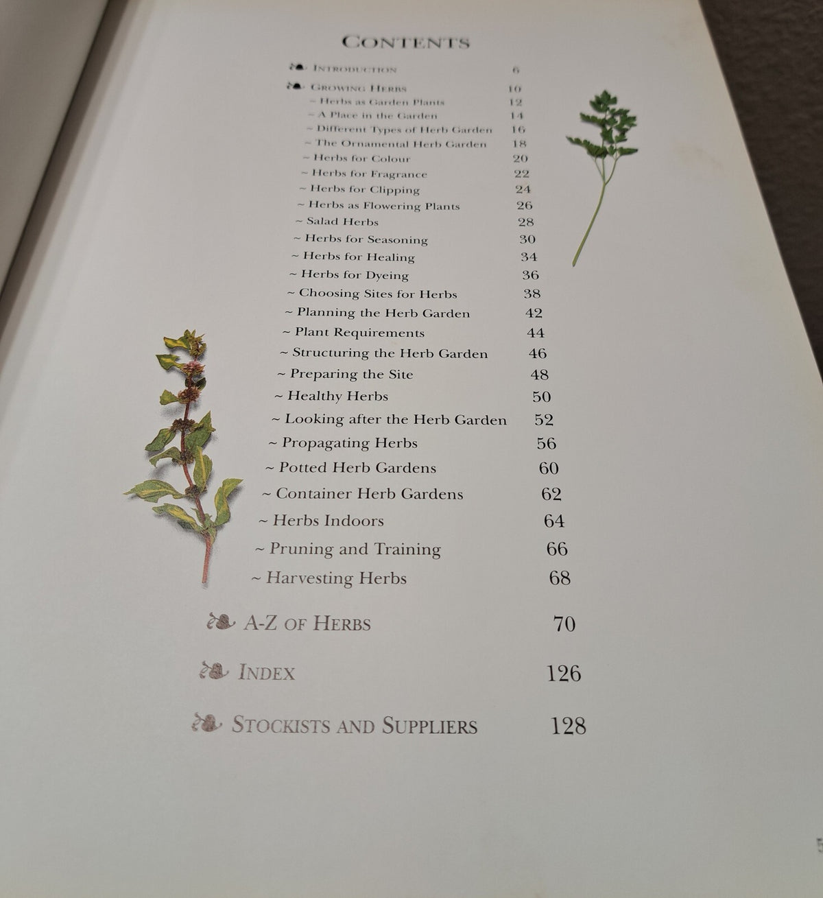 Vintage 1995 The New Guide to Herbs book by Andi Clevely