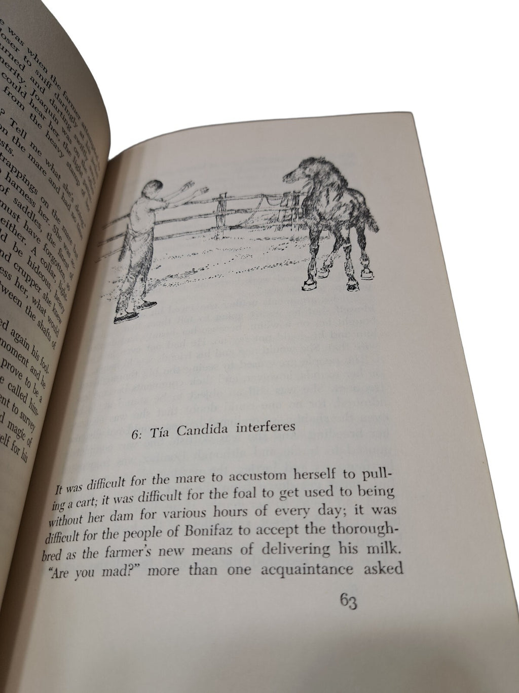 Vintage 1966 The Wild Horse of Santander book by Helen Griffiths