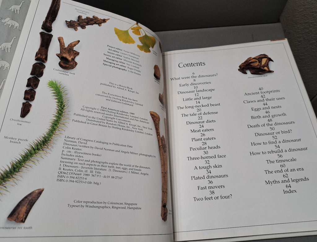 Vintage 1989 first edition of Dinosaur by Eyewitness Books