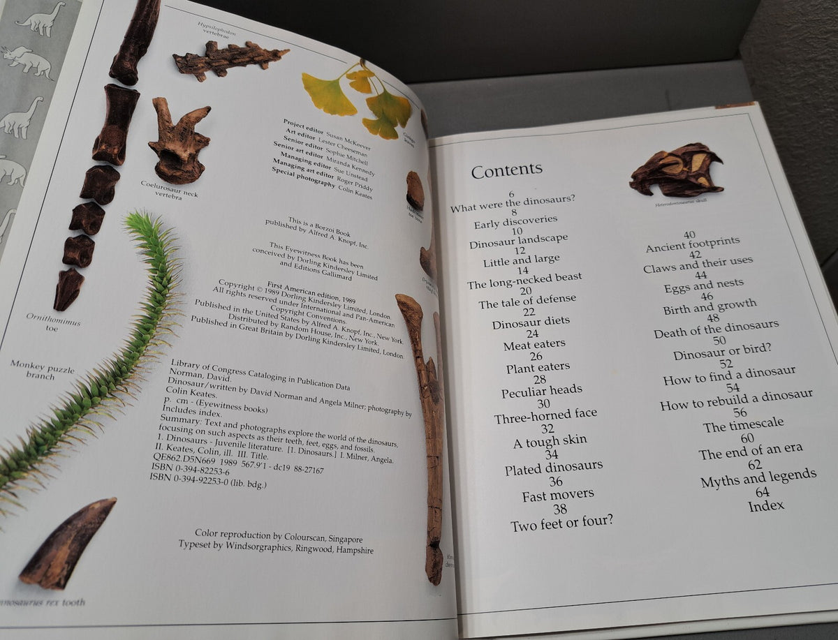 Vintage 1989 first edition of Dinosaur by Eyewitness Books