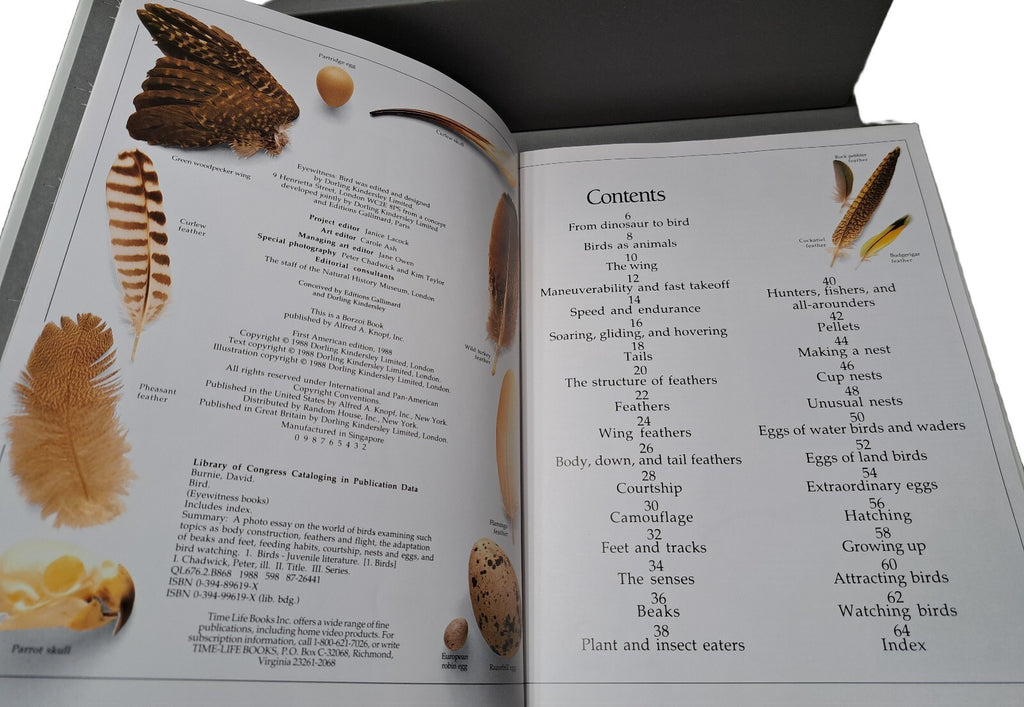 Vintage 1988 first edition of Bird by Eyewitness Books