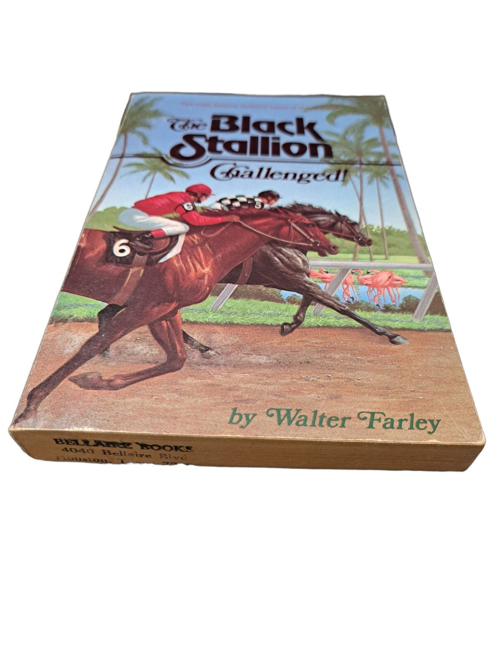 Vintage 1964 The Black Stallion Challenged! book by Walter Farley