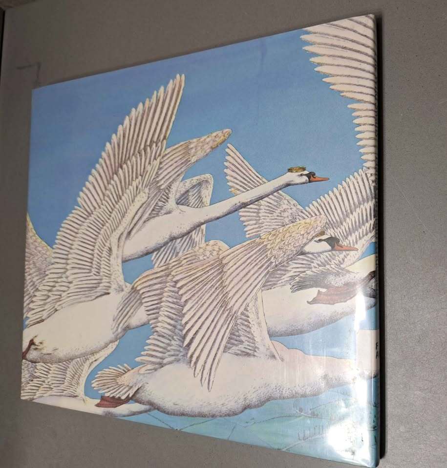 Vintage 1964 first edition of the fairytale The Wild Swans by Hans Christian Andersen (hardcover)